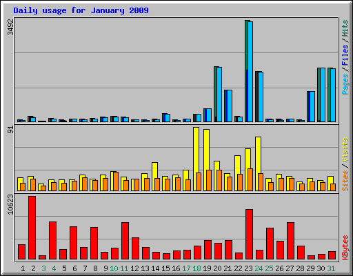 Daily usage for January 2009