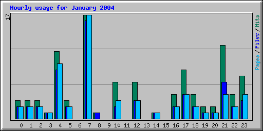 Hourly usage for January 2004