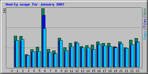 Hourly usage for January 2007