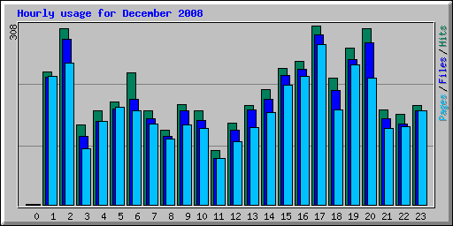 Hourly usage for December 2008