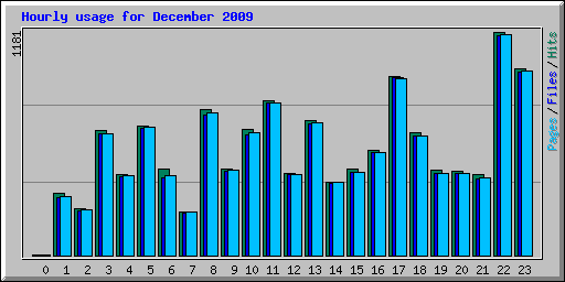 Hourly usage for December 2009