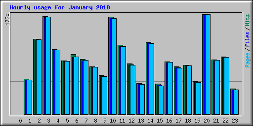 Hourly usage for January 2010